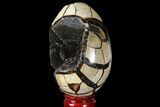 Septarian Dragon Egg Geode - Black Crystals #96019-1